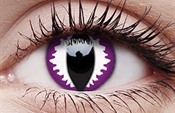 Purple Dragon Purple Dragon